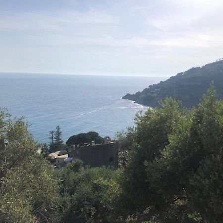 Casa Orchidea - Vista Mare Meravigliosa بوناسولا المظهر الخارجي الصورة