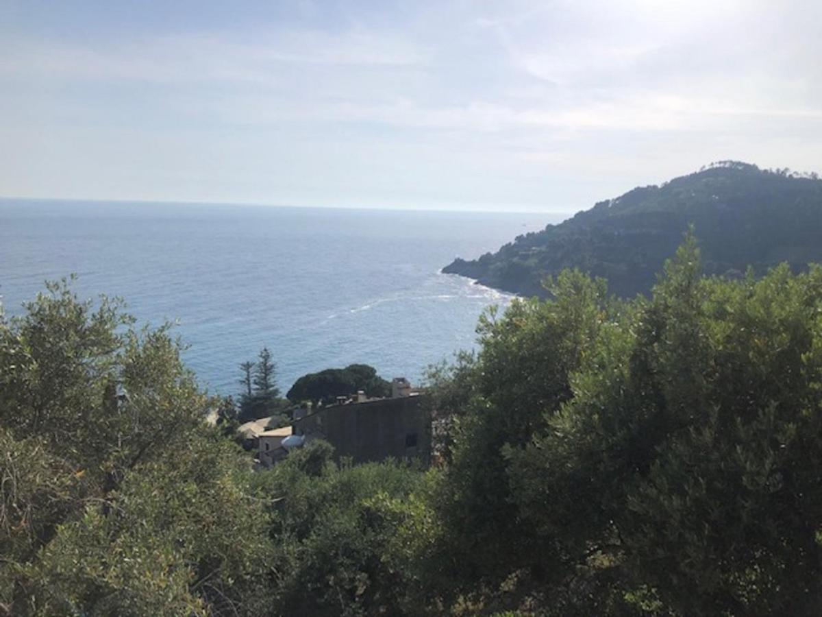 Casa Orchidea - Vista Mare Meravigliosa بوناسولا المظهر الخارجي الصورة