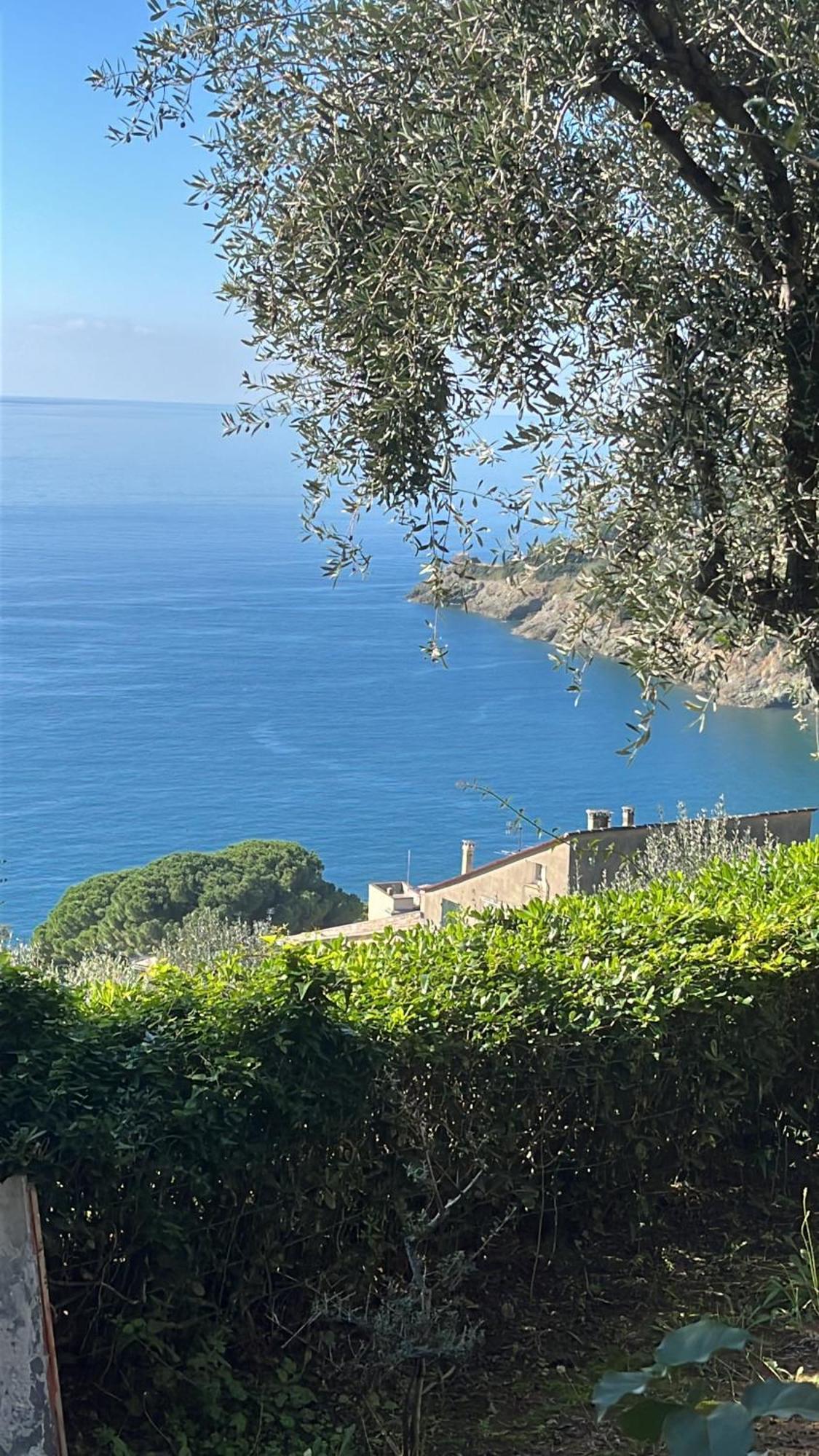 Casa Orchidea - Vista Mare Meravigliosa بوناسولا المظهر الخارجي الصورة