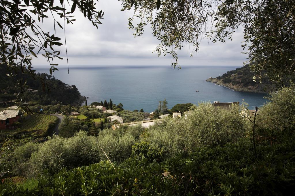 Casa Orchidea - Vista Mare Meravigliosa بوناسولا الغرفة الصورة